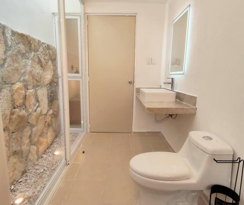 Appartement Casa Colibri Con Alberca En El Centro à Mérida Extérieur photo